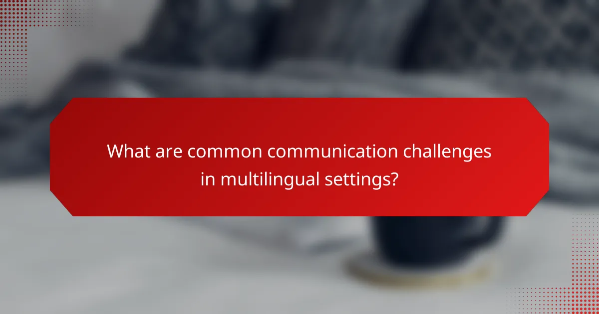 What are common communication challenges in multilingual settings?