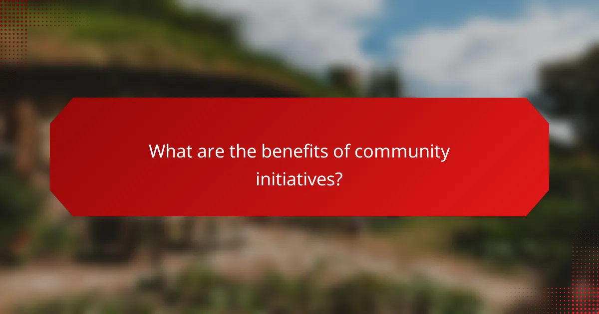 What are the benefits of community initiatives?
