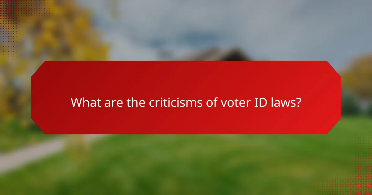 What are the criticisms of voter ID laws?