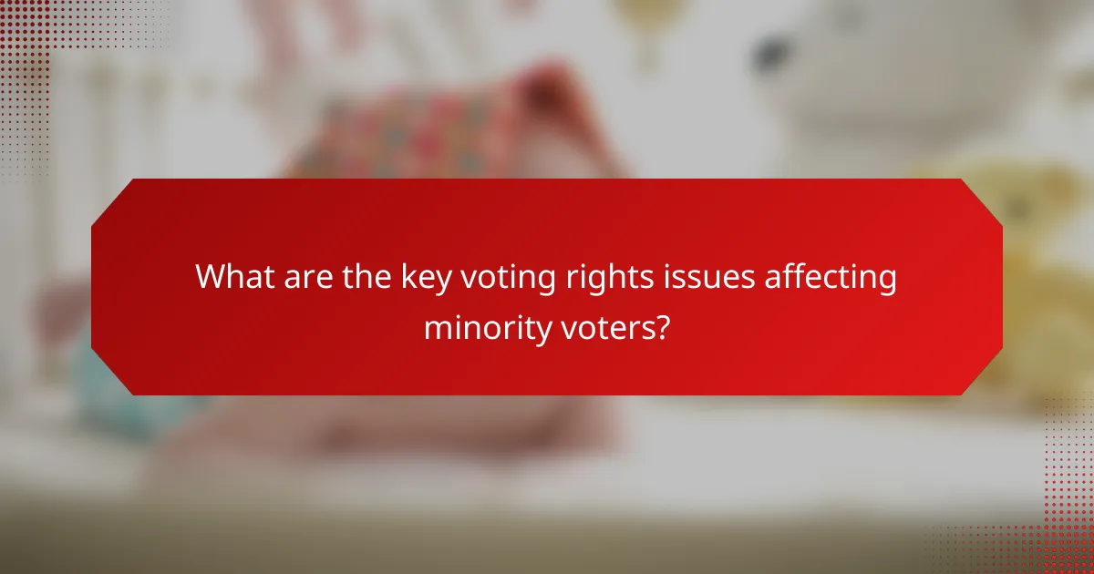 What are the key voting rights issues affecting minority voters?