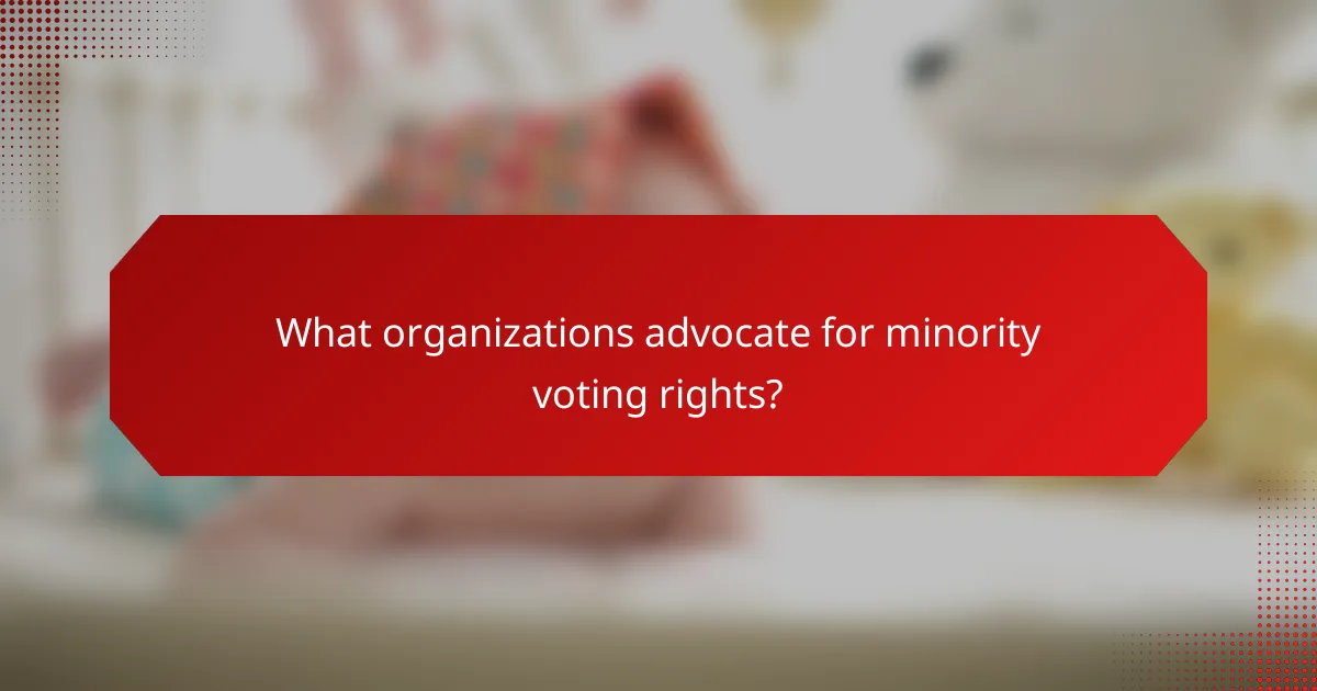 What organizations advocate for minority voting rights?