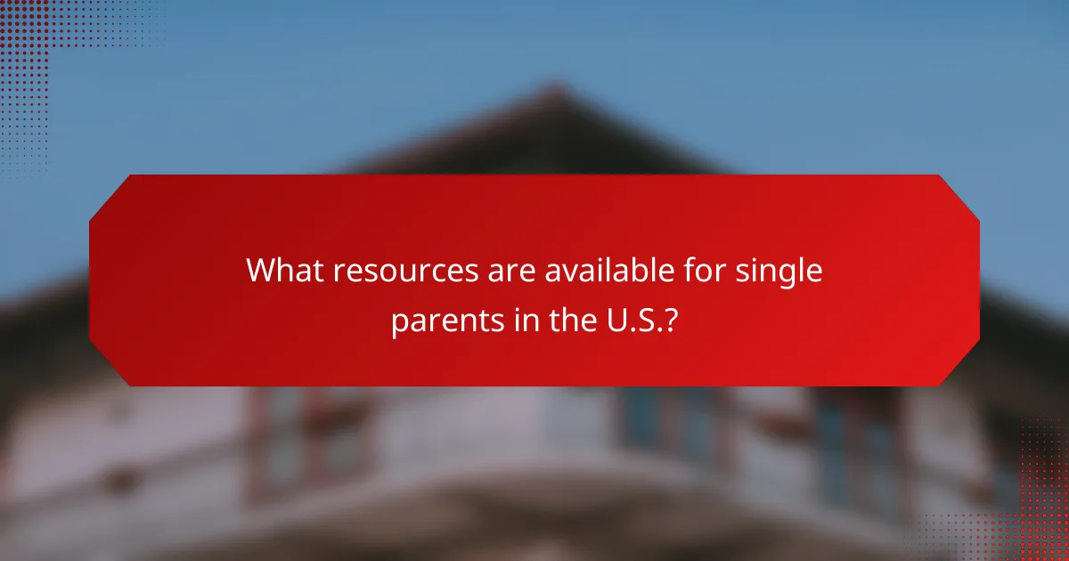 What resources are available for single parents in the U.S.?